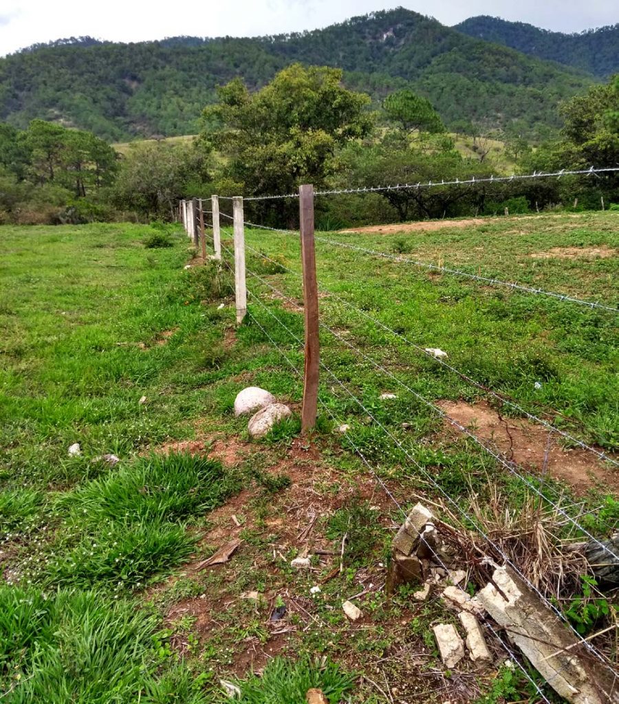 A new, tight fence does a much better job of dissuading intruders