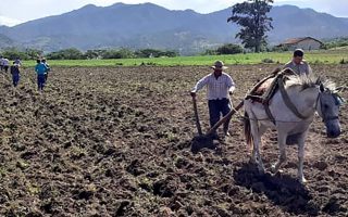 Young people helped plant a sister’s crops.